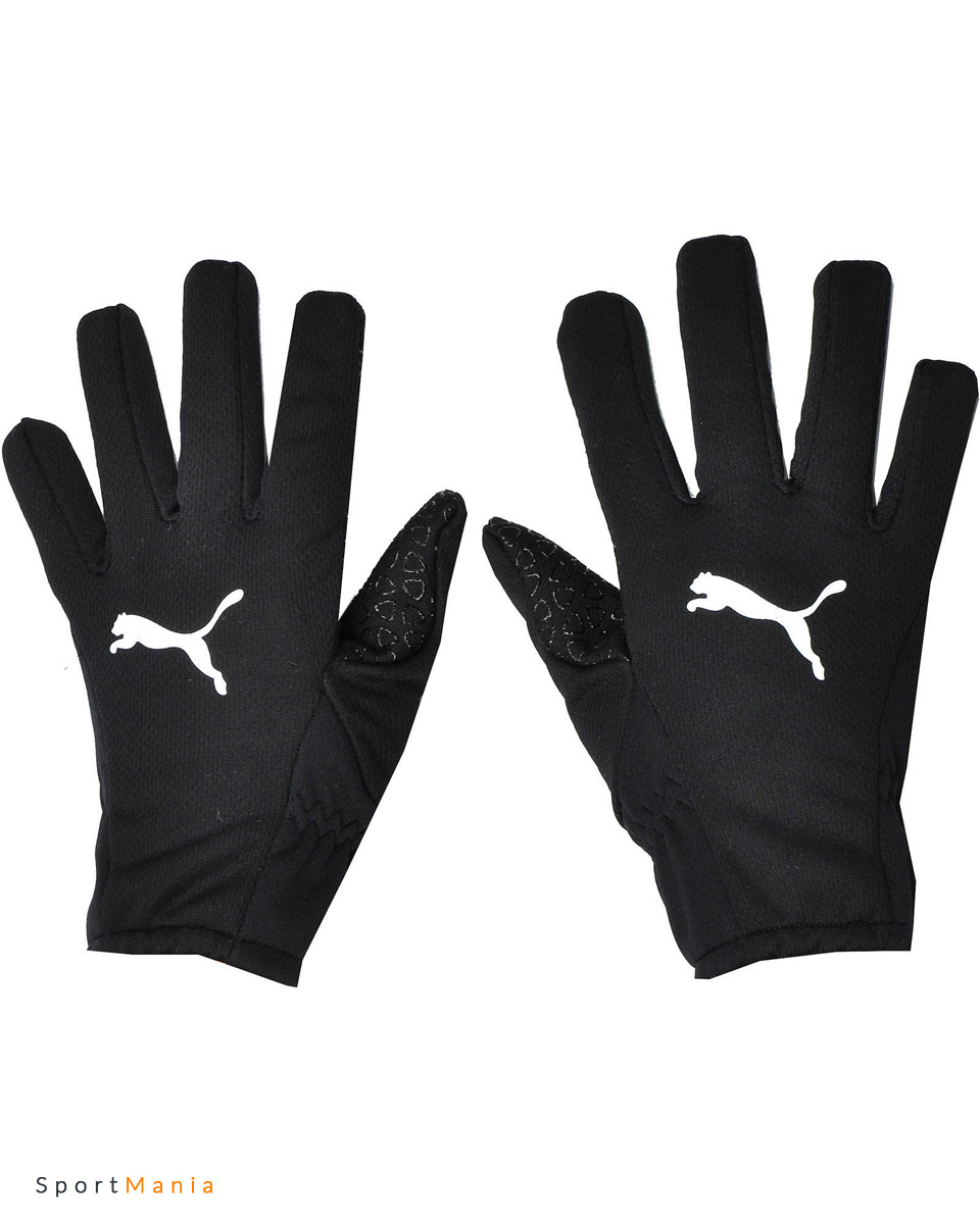 4061401 Перчатки Puma Thermo Player Glove черный
