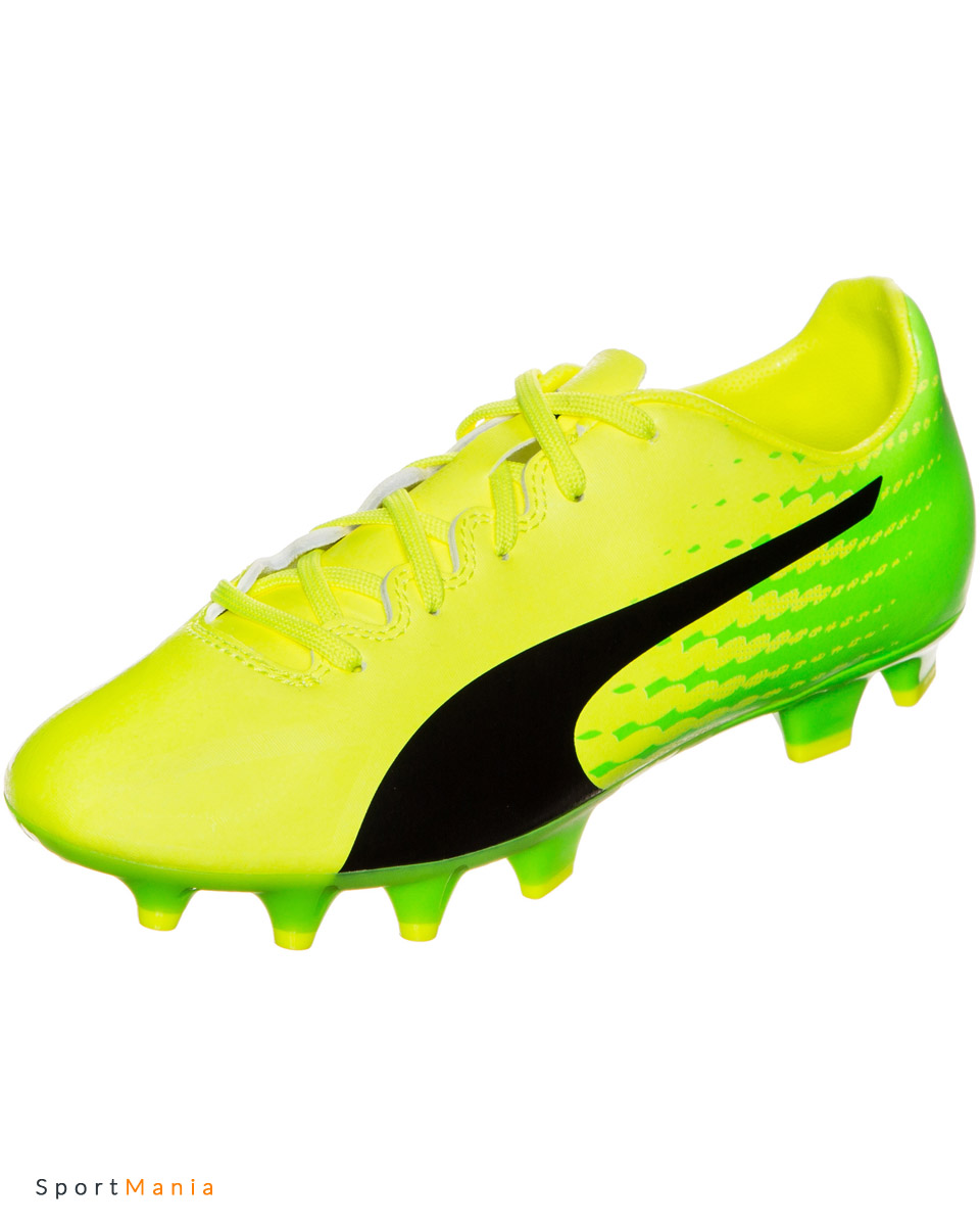 puma evospeed 17.4 fg