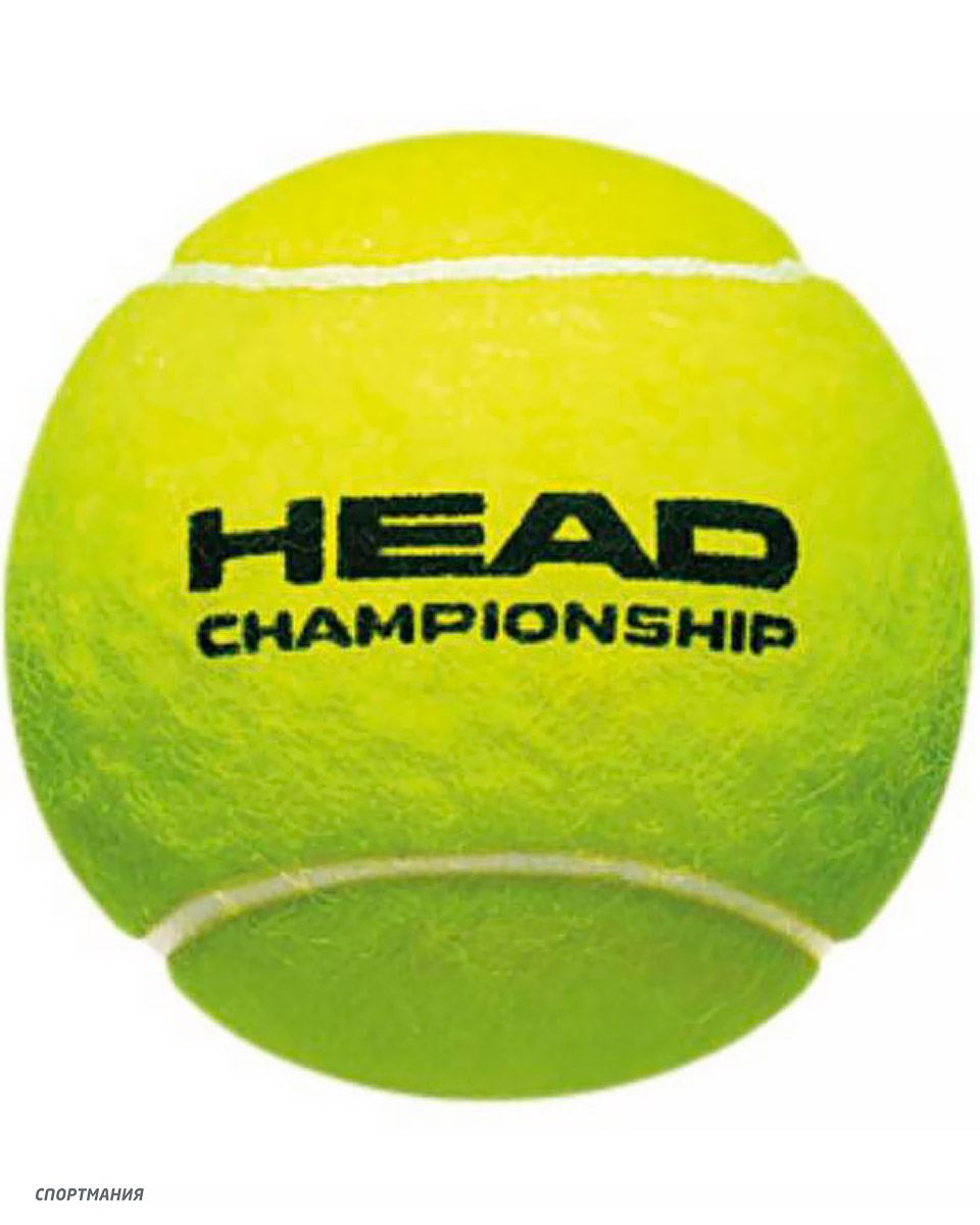 Мяч теннисный Head Championship 4B