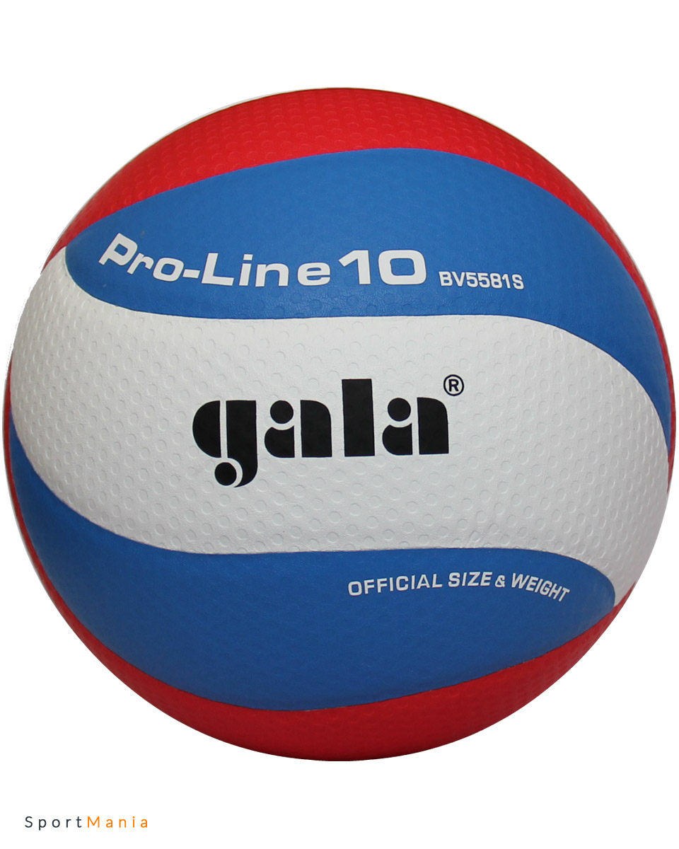 BV5581S Волейбольный мяч Gala Pro-Line 10 белый, синий, красный