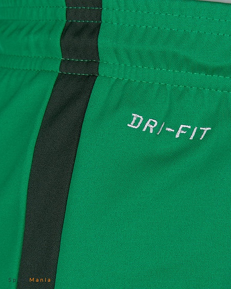 725881-319 Футбольные шорты для голкипера Nike League Knit NB зеленый, белый
