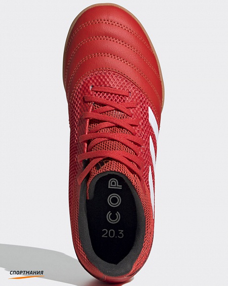 EF1915 Детские футзалки Adidas Copa 20.3 Sala JR красный