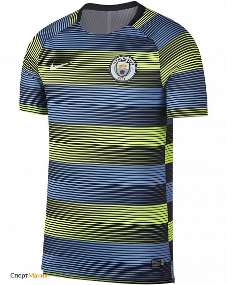 894325-702 Футболка Nike Manchester City FC Dri-FIT Squad GX2 голубой, зеленый