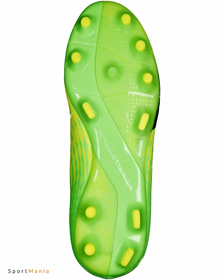 puma evospeed 17.4 fg