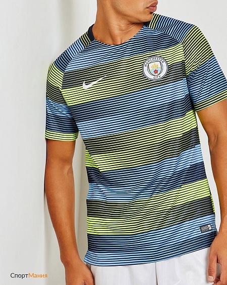 894325-702 Футболка Nike Manchester City FC Dri-FIT Squad GX2 голубой, зеленый