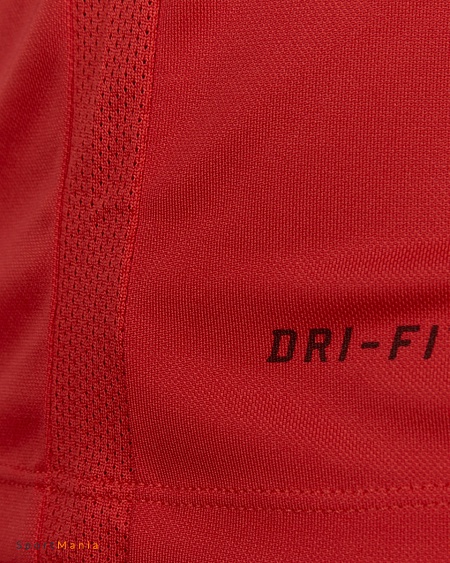 725891-657 Футболка игровая Nike Park VI красный, белый