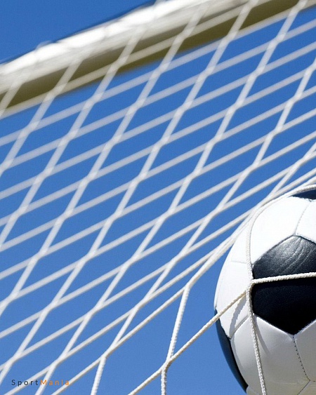 750/1-26 Сетка для футбольных ворот 7,5 х2,5х1х2 (d 2,6 мм) белый