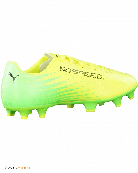 puma evospeed 17.4 fg