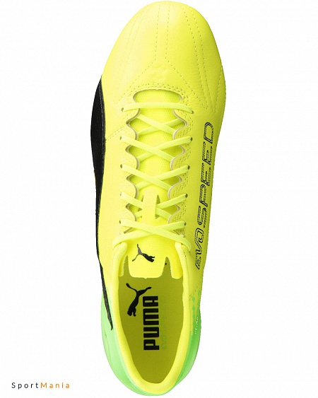 puma evospeed 17 sl fg
