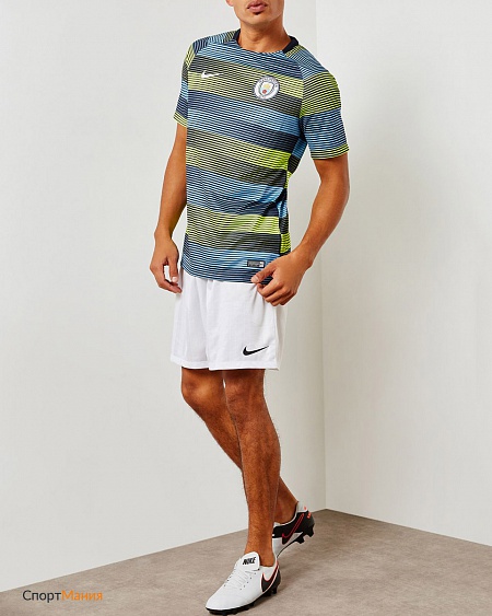 894325-702 Футболка Nike Manchester City FC Dri-FIT Squad GX2 голубой, зеленый