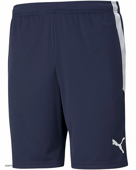 65725006 Шорты детские Puma teamLiga Training Shorts темно-синий, белый