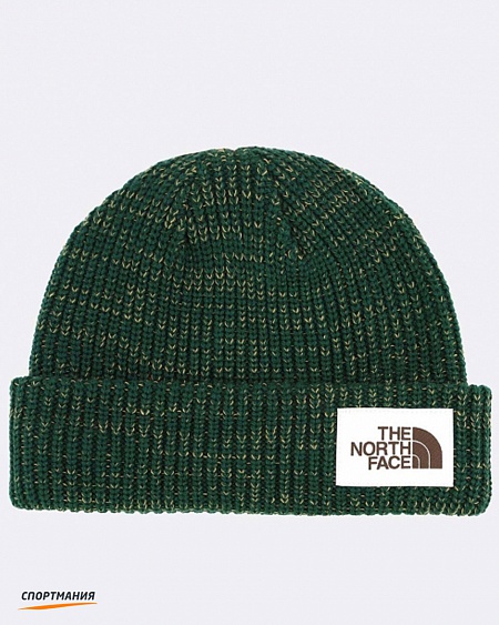 T93FJWEN5 Шапка The North Face Salty Dog зеленый